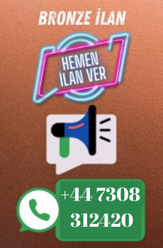 bayan escort